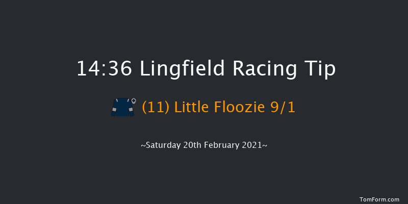 Bombardier 'March To Your Own Drum' Classified Stakes Lingfield 14:36 Stakes (Class 6) 7f Fri 19th Feb 2021