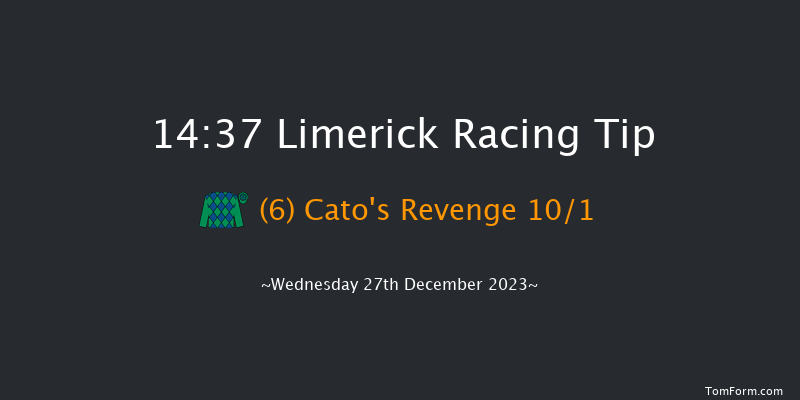 Limerick 14:37 Handicap Hurdle 20f Tue 26th Dec 2023