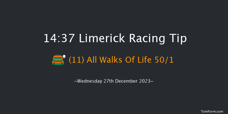 Limerick 14:37 Handicap Hurdle 20f Tue 26th Dec 2023