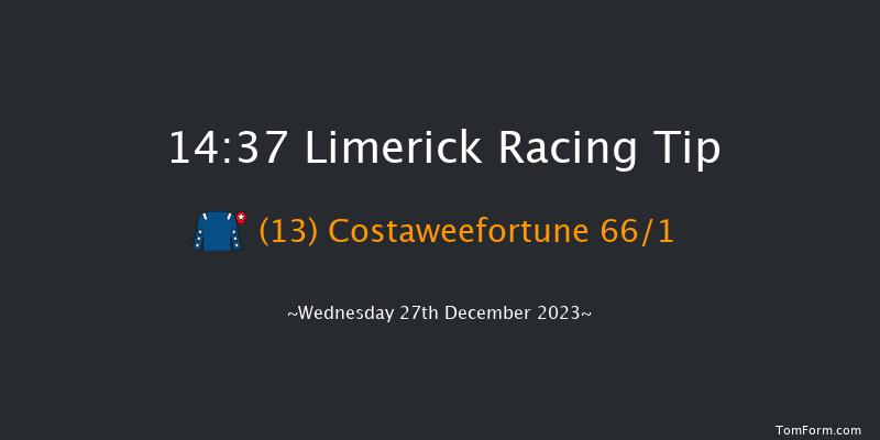 Limerick 14:37 Handicap Hurdle 20f Tue 26th Dec 2023