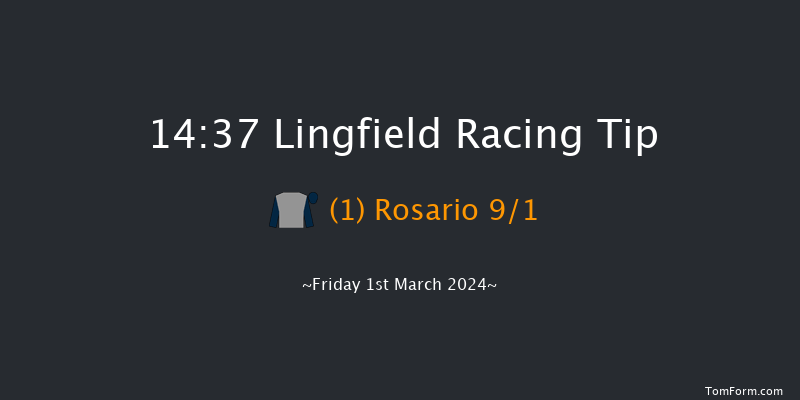 Lingfield  14:37 Handicap
(Class 2) 6f Fri 23rd Feb 2024