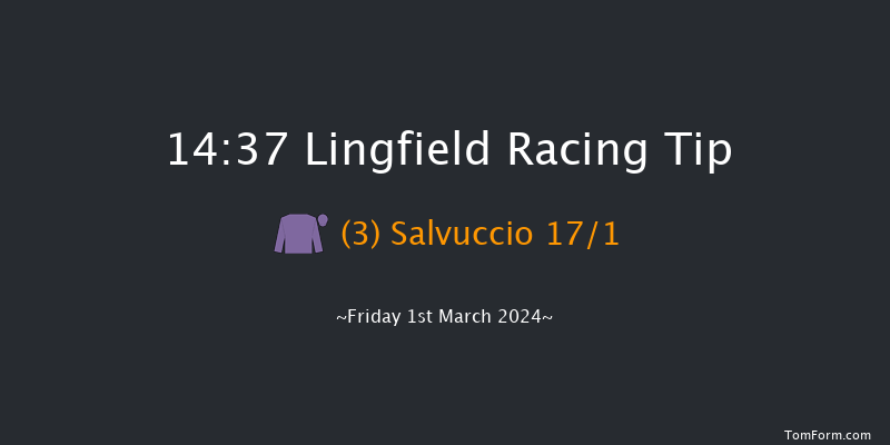 Lingfield  14:37 Handicap
(Class 2) 6f Fri 23rd Feb 2024