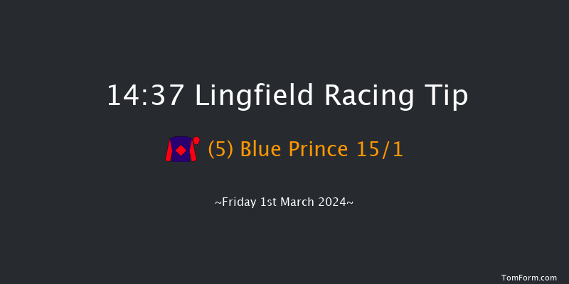 Lingfield  14:37 Handicap
(Class 2) 6f Fri 23rd Feb 2024