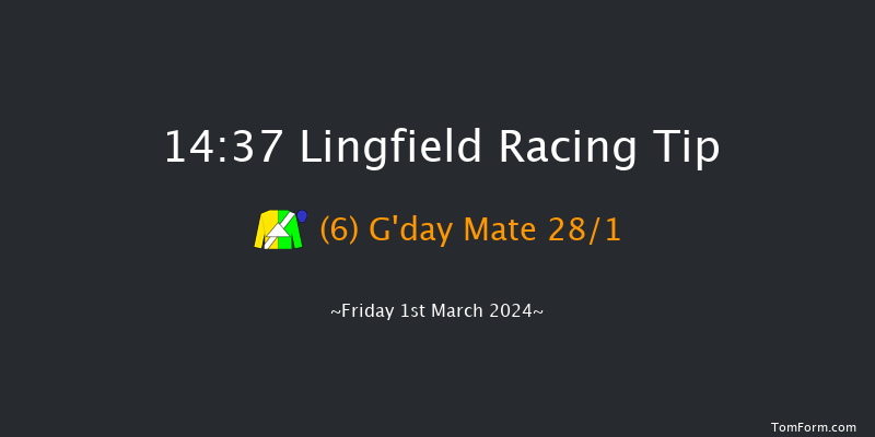 Lingfield  14:37 Handicap
(Class 2) 6f Fri 23rd Feb 2024