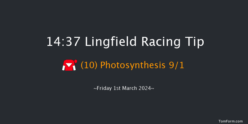 Lingfield  14:37 Handicap
(Class 2) 6f Fri 23rd Feb 2024