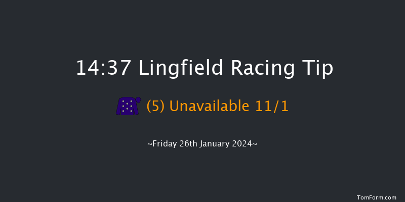 Lingfield  14:37 Handicap (Class 6) 5f Wed 24th Jan 2024