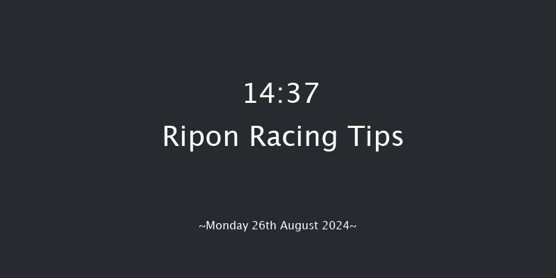 Ripon  14:37 Maiden (Class 5) 10f Mon 8th Jul 2024