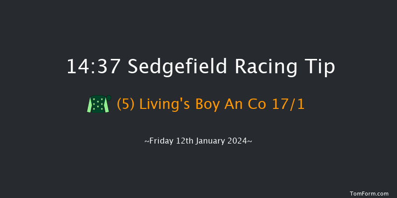 Sedgefield 14:37 Handicap Chase (Class 5) 19f Tue 26th Dec 2023