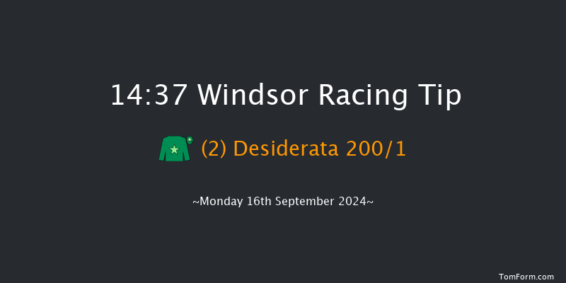 Windsor  14:37 Stakes (Class 4) 8f Mon 2nd Sep 2024