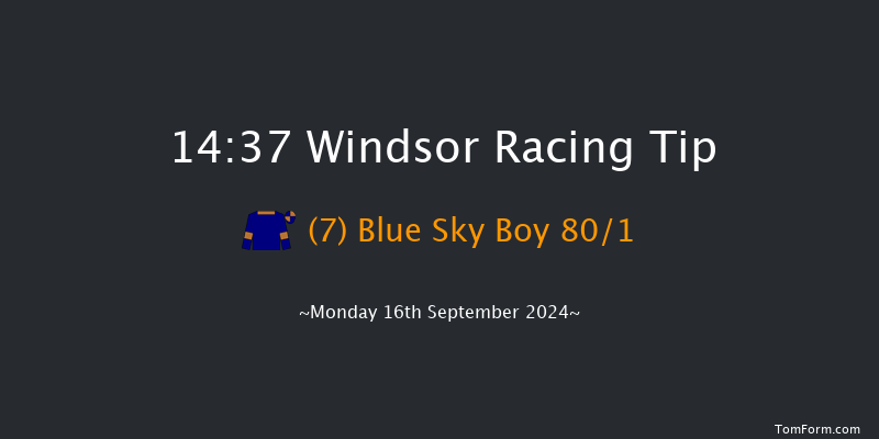 Windsor  14:37 Stakes (Class 4) 8f Mon 2nd Sep 2024