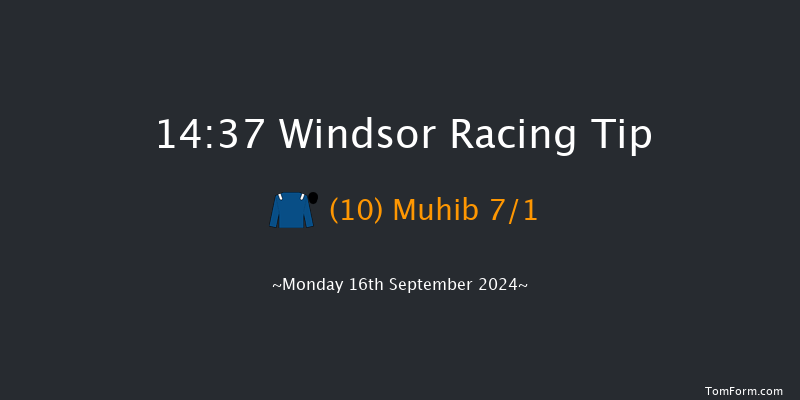 Windsor  14:37 Stakes (Class 4) 8f Mon 2nd Sep 2024