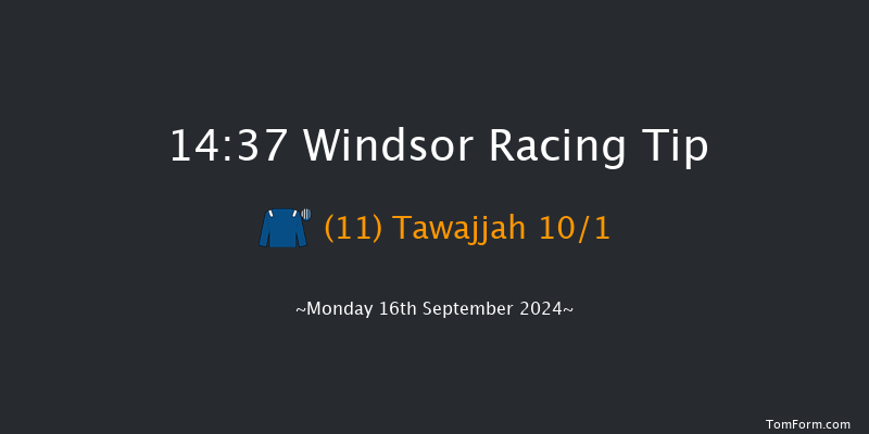 Windsor  14:37 Stakes (Class 4) 8f Mon 2nd Sep 2024