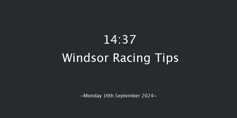 Windsor  14:37 Stakes (Class 4) 8f Mon 2nd Sep 2024