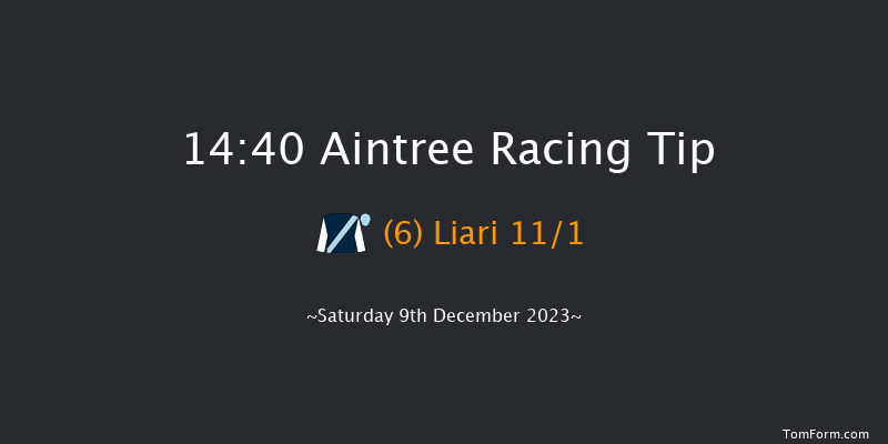 Aintree 14:40 Conditions Hurdle (Class 1) 17f Sat 11th Nov 2023