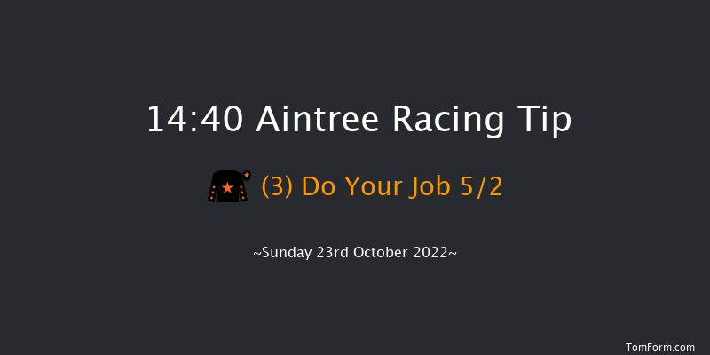 Aintree 14:40 Handicap Chase (Class 1) 20f Fri 10th Jun 2022