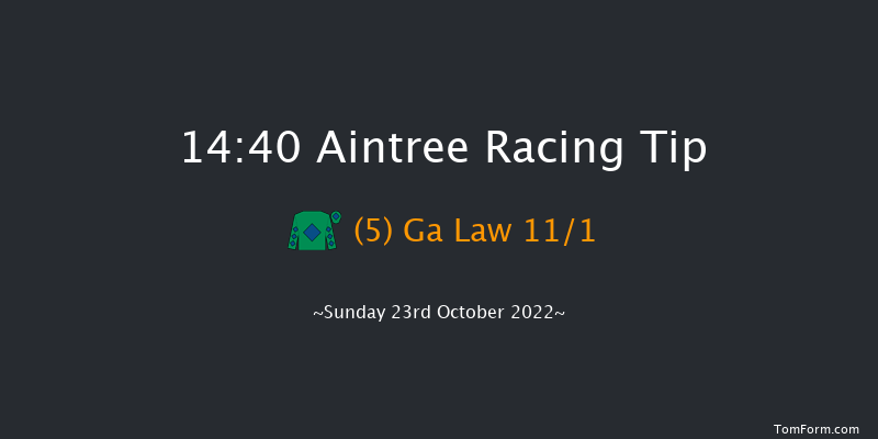 Aintree 14:40 Handicap Chase (Class 1) 20f Fri 10th Jun 2022