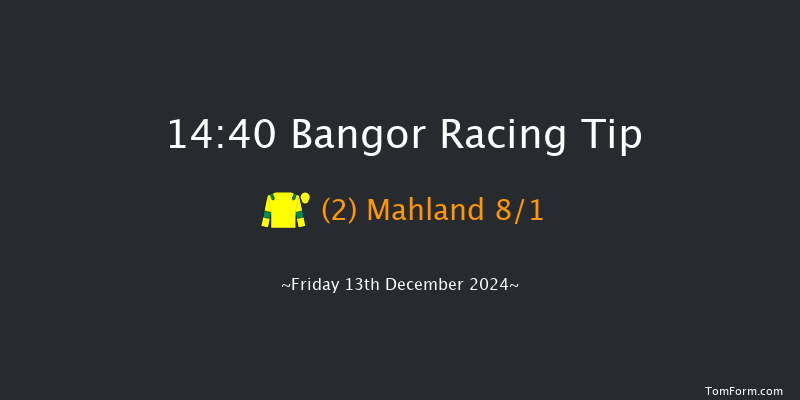 Bangor-on-dee  14:40 Handicap Hurdle (Class 3) 23f Wed 13th Nov 2024