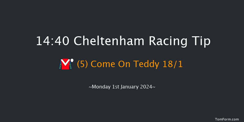 Cheltenham 14:40 Handicap Hurdle (Class 2) 24f Sat 16th Dec 2023