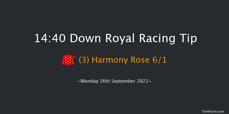 Down Royal 14:40 Handicap 5f Fri 2nd Sep 2022