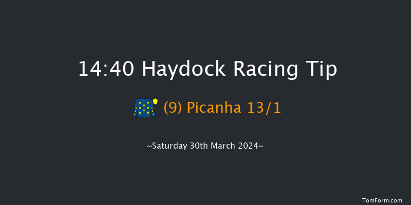 Haydock  14:40 Handicap Hurdle (Class 2)
24f Wed 20th Mar 2024