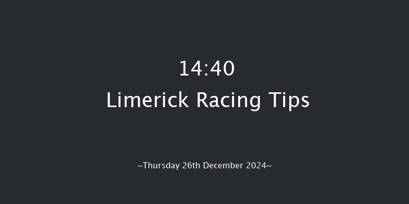 Limerick  14:40 Maiden Chase 18f Tue 19th Nov 2024