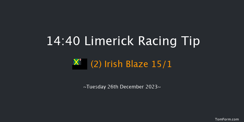 Limerick 14:40 Maiden Chase 18f Tue 21st Nov 2023