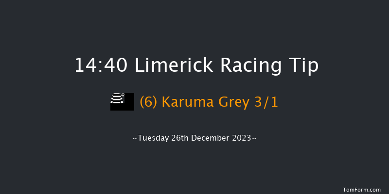 Limerick 14:40 Maiden Chase 18f Tue 21st Nov 2023