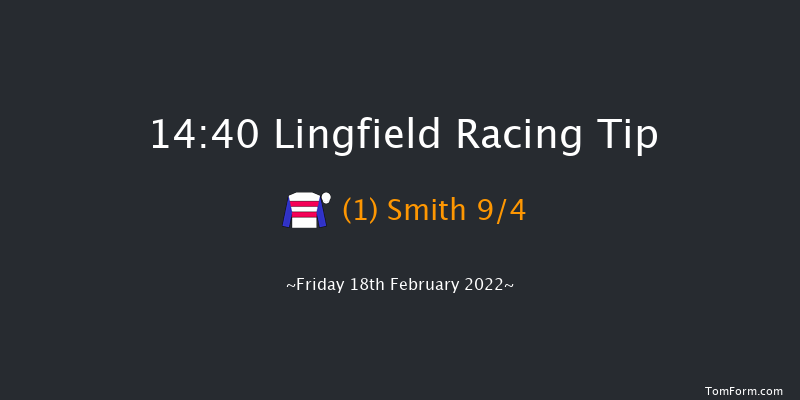 Lingfield 14:40 Handicap (Class 6) 16f Tue 15th Feb 2022