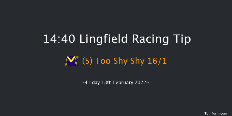 Lingfield 14:40 Handicap (Class 6) 16f Tue 15th Feb 2022