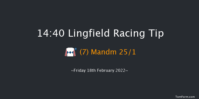 Lingfield 14:40 Handicap (Class 6) 16f Tue 15th Feb 2022