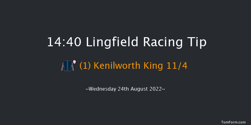 Lingfield 14:40 Handicap (Class 6) 8f Sat 20th Aug 2022