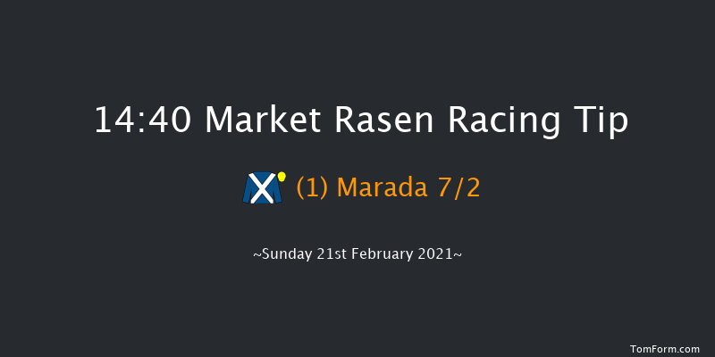 MansionBet's Best Odds Guaranteed EBF Mares' 'National Hunt' Novices' Hurdle Market Rasen 14:40 Novices Hurdle (Class 3) 17f Sat 16th Jan 2021