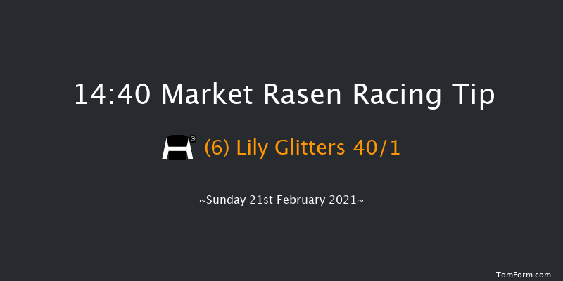 MansionBet's Best Odds Guaranteed EBF Mares' 'National Hunt' Novices' Hurdle Market Rasen 14:40 Novices Hurdle (Class 3) 17f Sat 16th Jan 2021