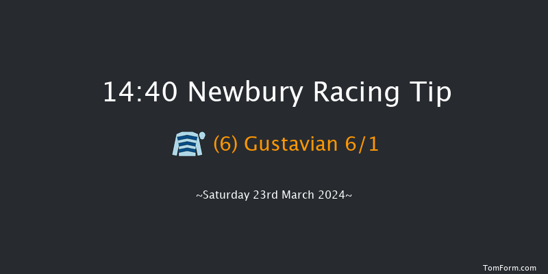 Newbury  14:40 Handicap Chase (Class 2) 20f Fri 22nd Mar 2024