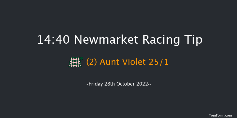 Newmarket 14:40 Listed (Class 1) 6f Wed 19th Oct 2022