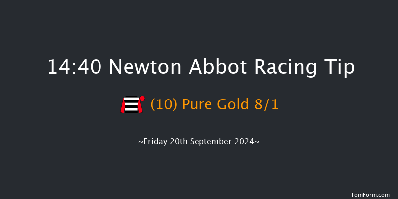 Newton Abbot  14:40 Maiden Hurdle (Class 4)
17f Mon 9th Sep 2024