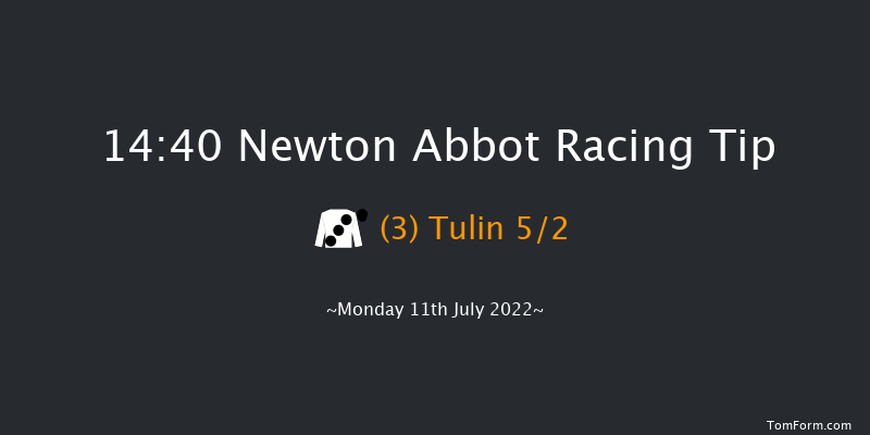 Newton Abbot 14:40 Handicap Hurdle (Class 3) 22f Fri 1st Jul 2022