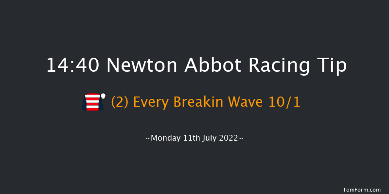 Newton Abbot 14:40 Handicap Hurdle (Class 3) 22f Fri 1st Jul 2022