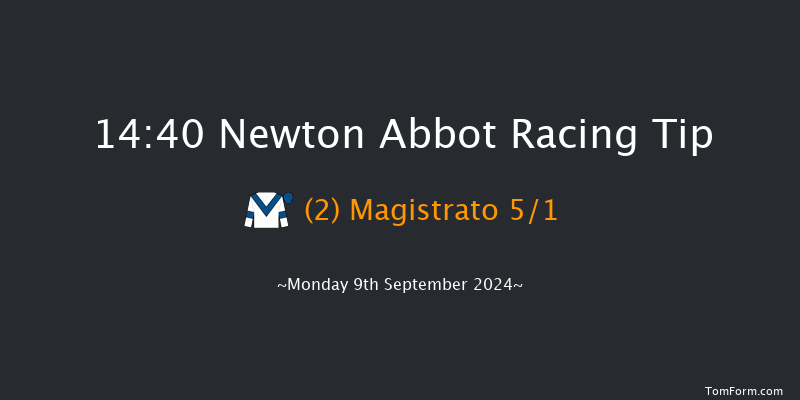 Newton Abbot  14:40 Handicap Chase (Class 4) 16f Sat 31st Aug 2024