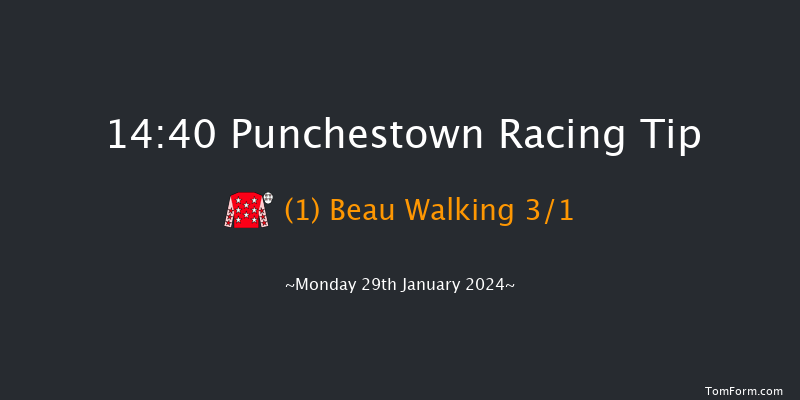 Punchestown  14:40 Maiden Hurdle
20f Sun 31st Dec 2023