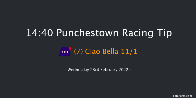 Punchestown 14:40 Handicap Hurdle 24f Sun 13th Feb 2022