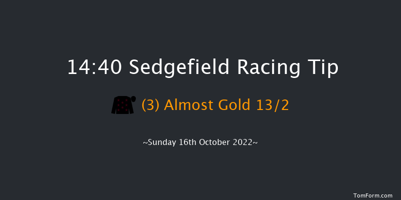 Sedgefield 14:40 Handicap Chase (Class 5) 27f Wed 5th Oct 2022