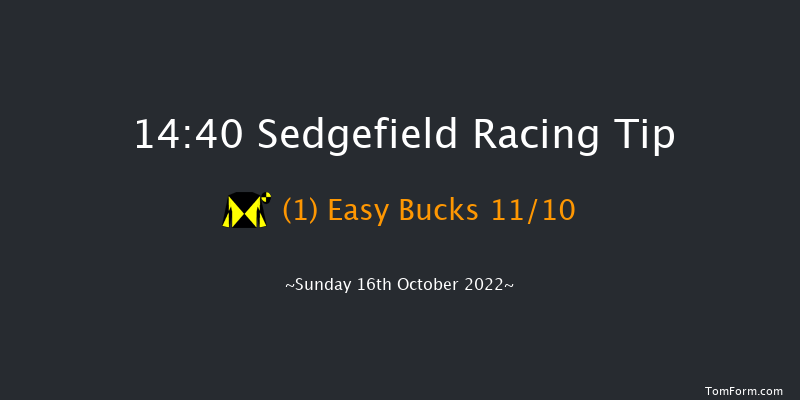 Sedgefield 14:40 Handicap Chase (Class 5) 27f Wed 5th Oct 2022