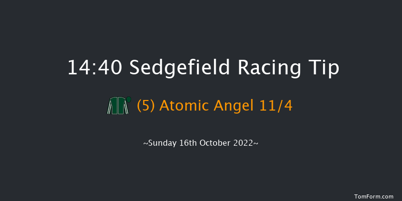 Sedgefield 14:40 Handicap Chase (Class 5) 27f Wed 5th Oct 2022