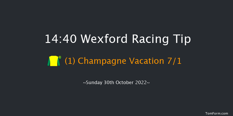 Wexford 14:40 Handicap Hurdle 21f Sat 3rd Sep 2022