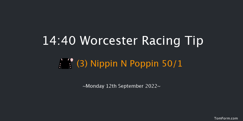 Worcester 14:40 NH Flat Race (Class 5) 16f Wed 31st Aug 2022