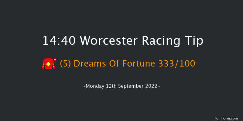 Worcester 14:40 NH Flat Race (Class 5) 16f Wed 31st Aug 2022