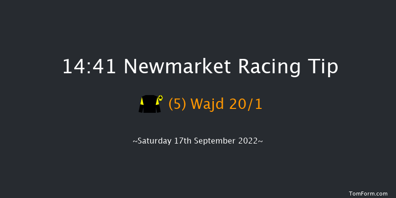 Newmarket 14:41 Handicap (Class 4) 7f Sat 27th Aug 2022