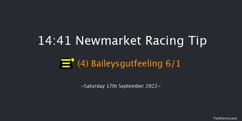 Newmarket 14:41 Handicap (Class 4) 7f Sat 27th Aug 2022