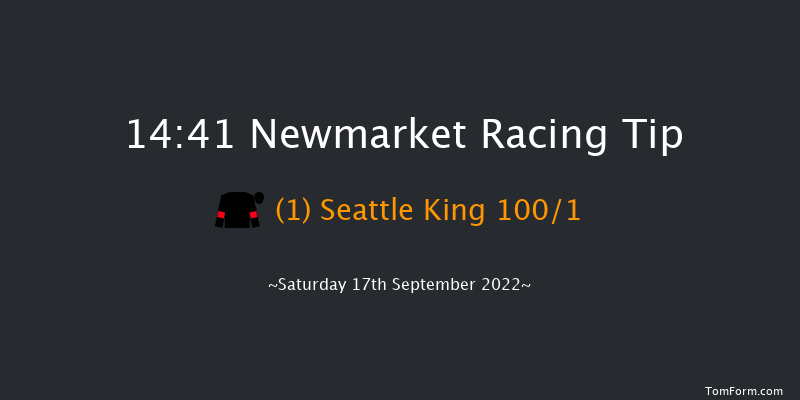 Newmarket 14:41 Handicap (Class 4) 7f Sat 27th Aug 2022